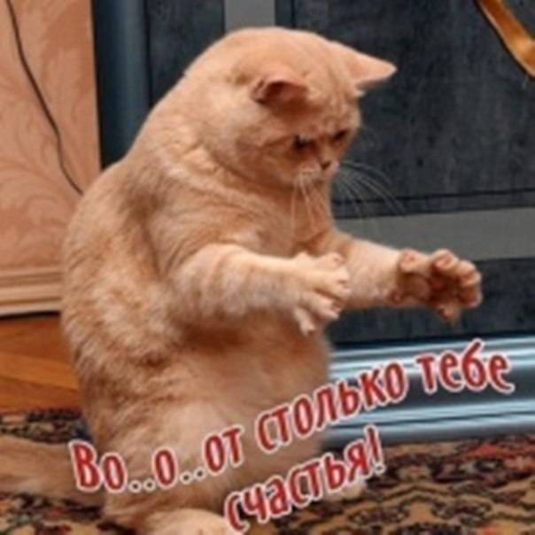 post-17499-0-19761100-1449737155_thumb.j