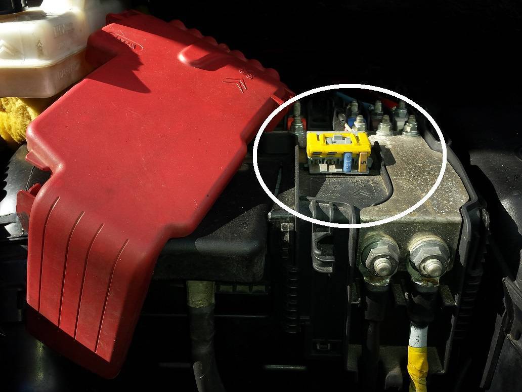 20170712_094400_Аллея УВосток.jpg