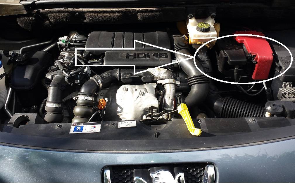 20170712_094501_Аллея УВосток.jpg