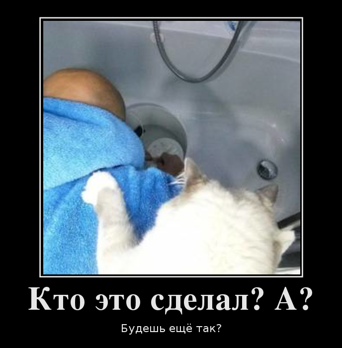 539640_kto-eto-sdelal-a_demotivators_to.png