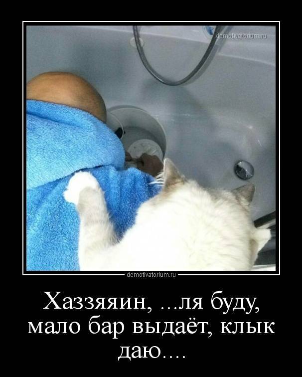 demotivatorium_ru_hazzjajain_lja_budu_malo_bar_vidaet_klik_dau.thumb.jpg.54d5d3a2f286a3514e0bf86a05f3b630.jpg