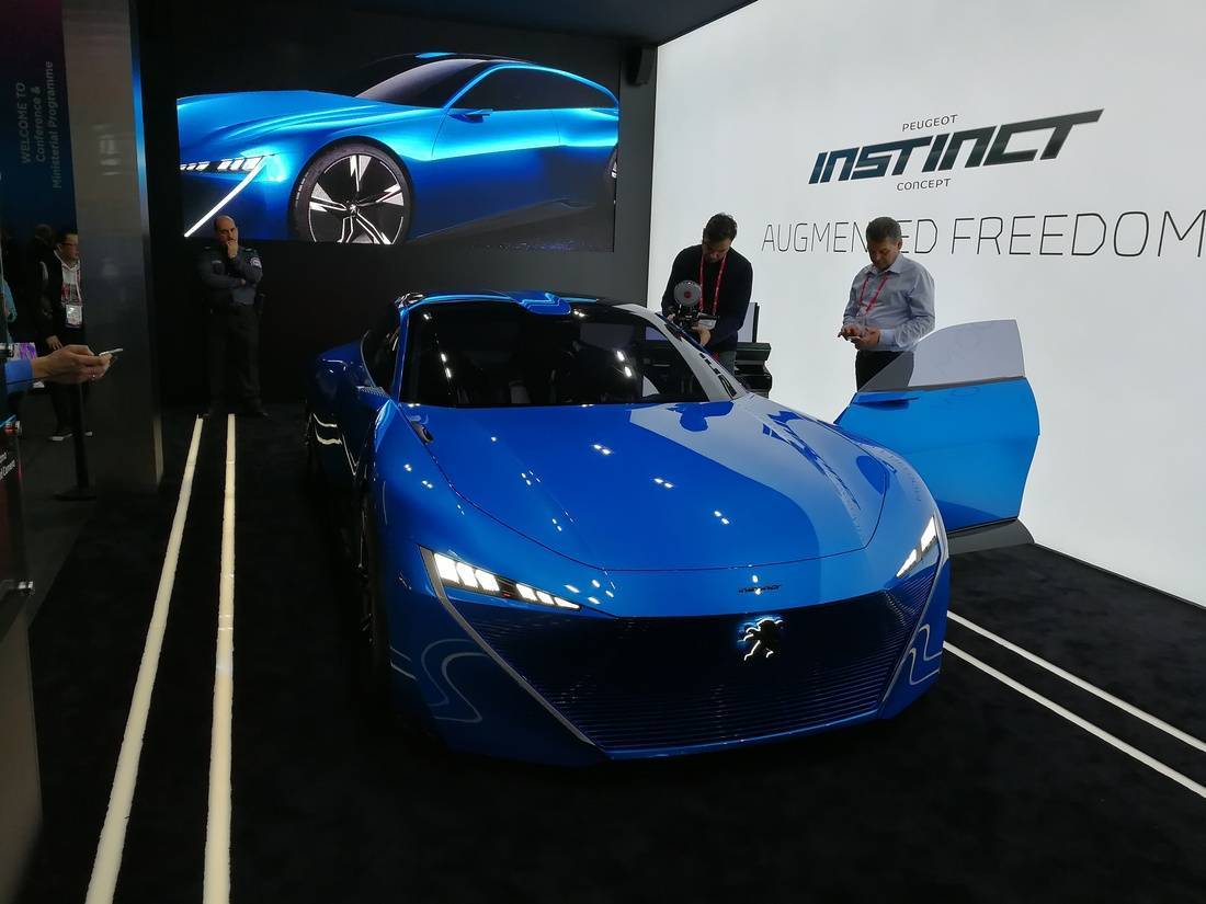 че за пыжик.jpeg