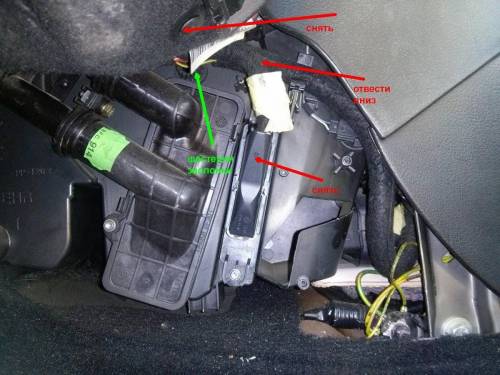 левая сторона.jpg